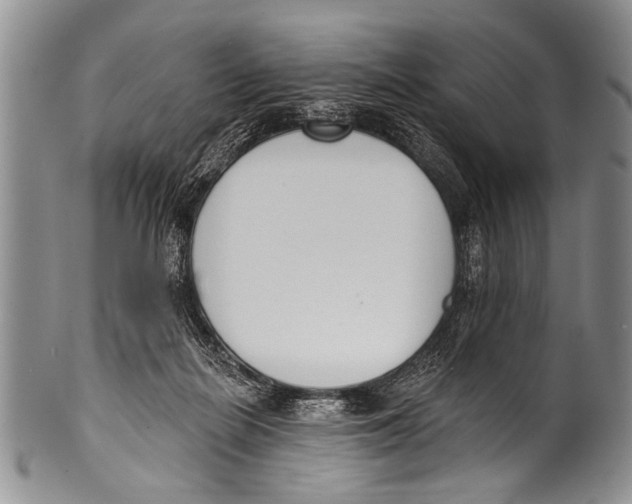 X0000100320266200806261233