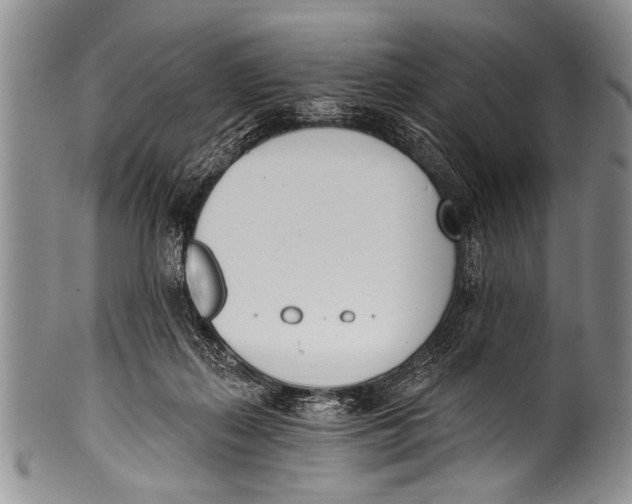 X0000100320267200806261233