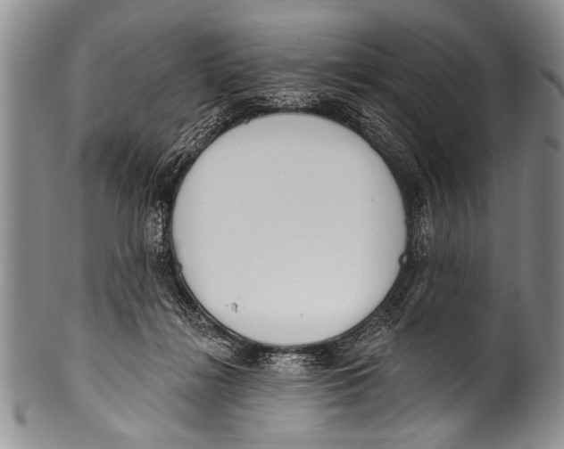 X0000100320268200806261233