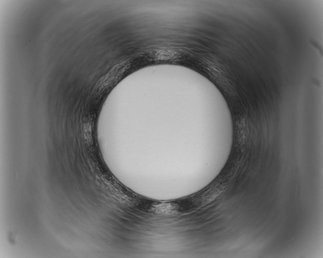 X0000100320269200806261233