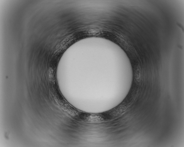 X0000100320270200806261233