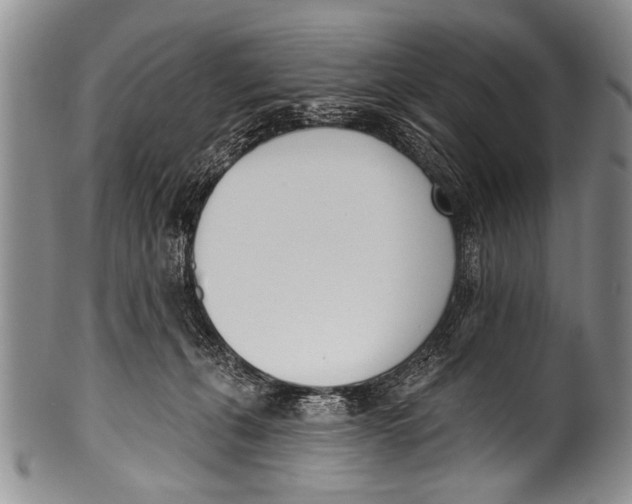 X0000100320271200806261233