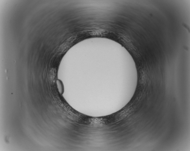 X0000100320273200806261233