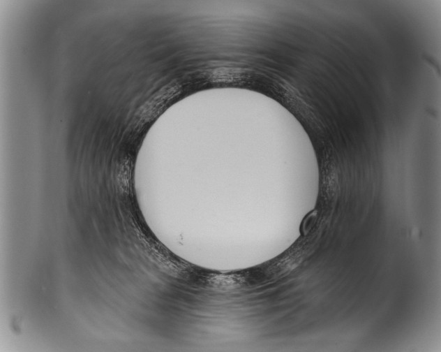 X0000100320277200806261233