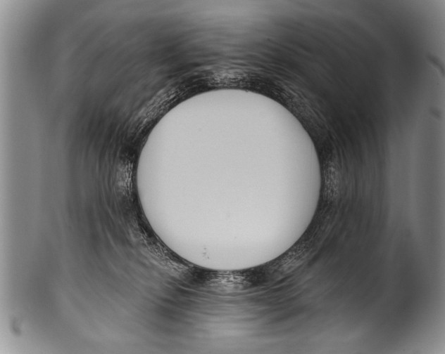 X0000100320278200806261233