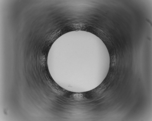 X0000100320279200806261234