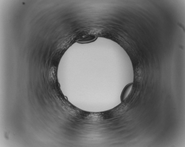 X0000100320280200806261234