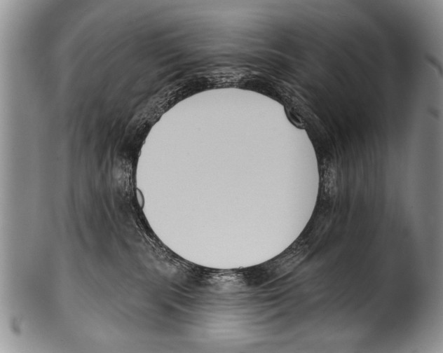 X0000100320283200806261234