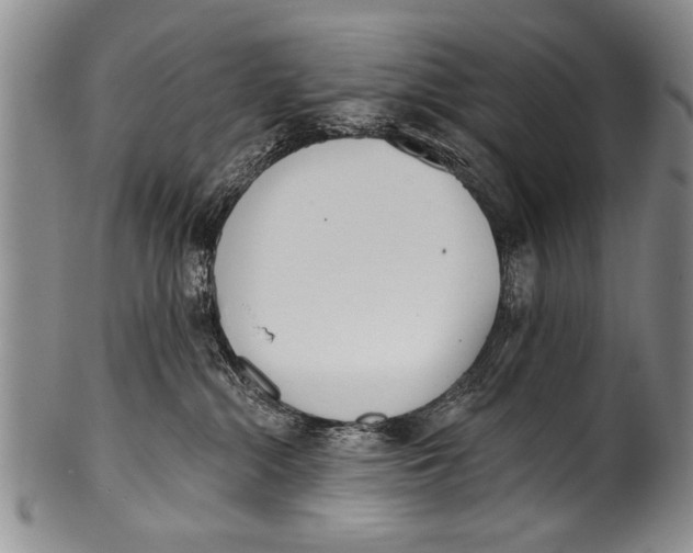 X0000100320284200806261234