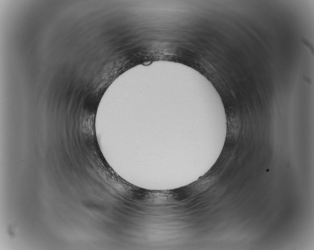 X0000100320286200806261234