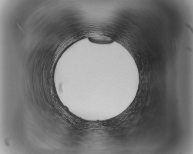 X0000100320289200806261233