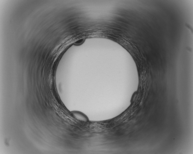 X0000100320290200806261233