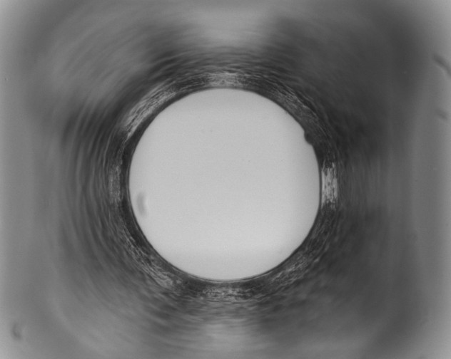 X0000100320291200806261233