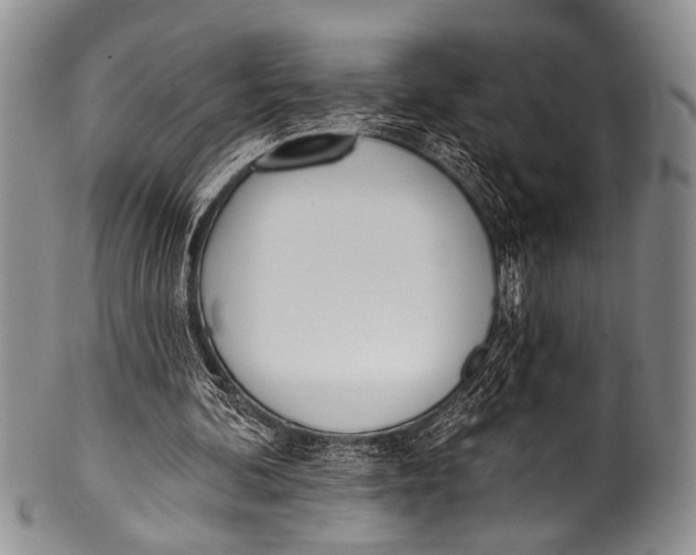 X0000100320292200806261233