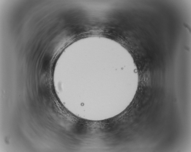 X0000100320293200806261233