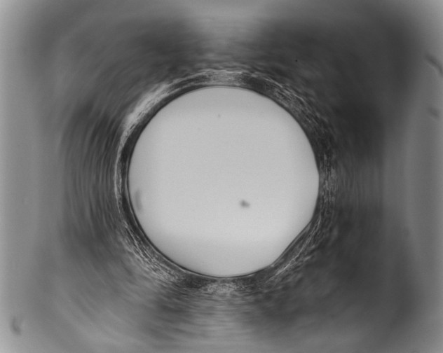 X0000100320294200806261233