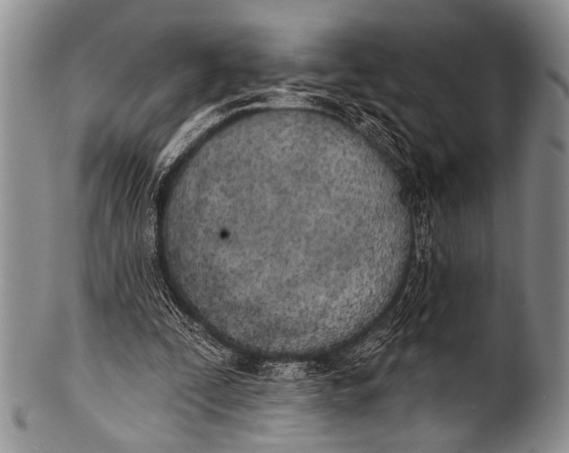 X0000100320295200806261233