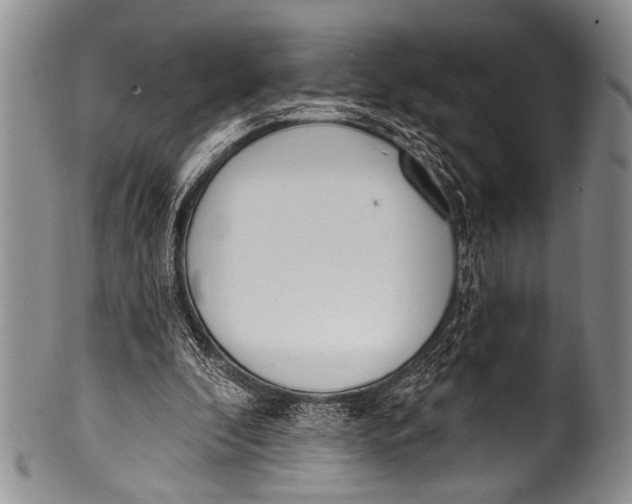 X0000100320296200806261233