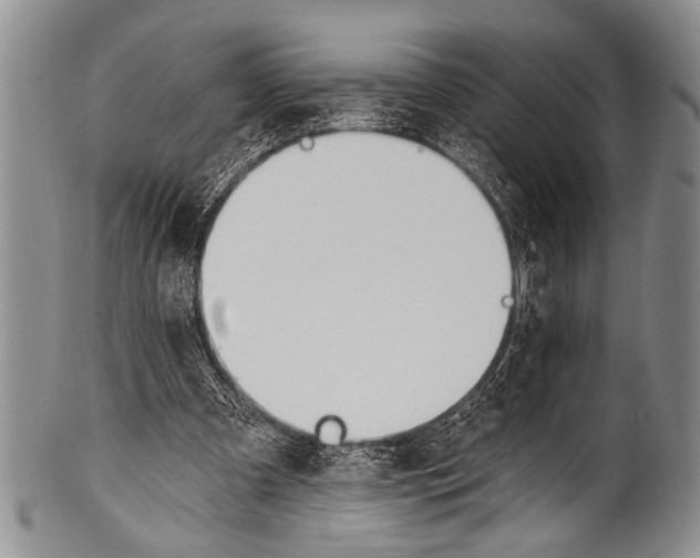 X0000100320297200806261233