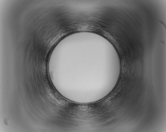 X0000100320298200806261233