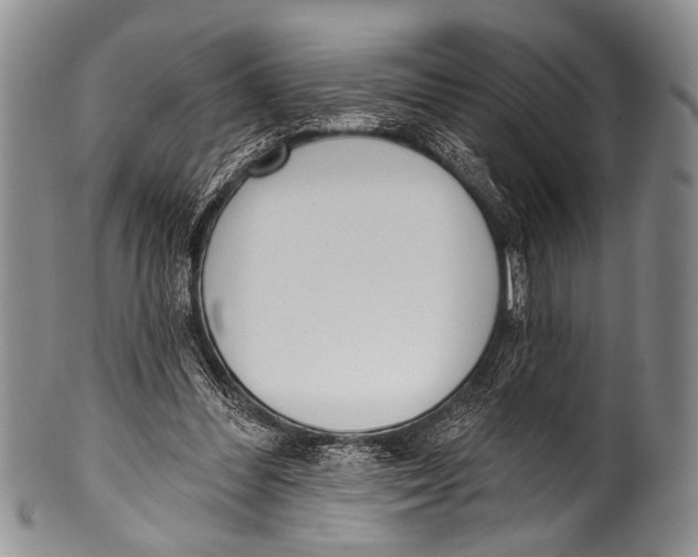 X0000100320300200806261233