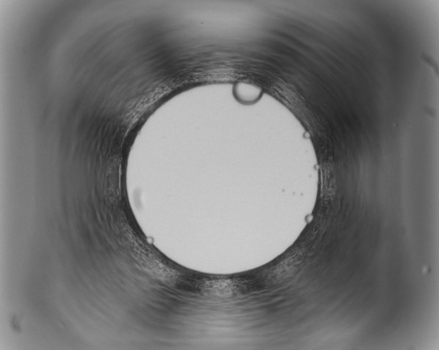 X0000100320301200806261233