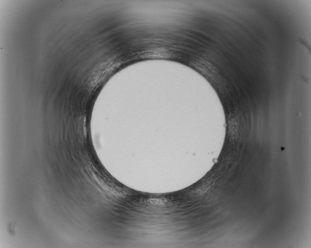 X0000100320302200806261233