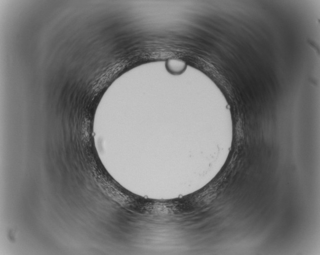 X0000100320305200806261233