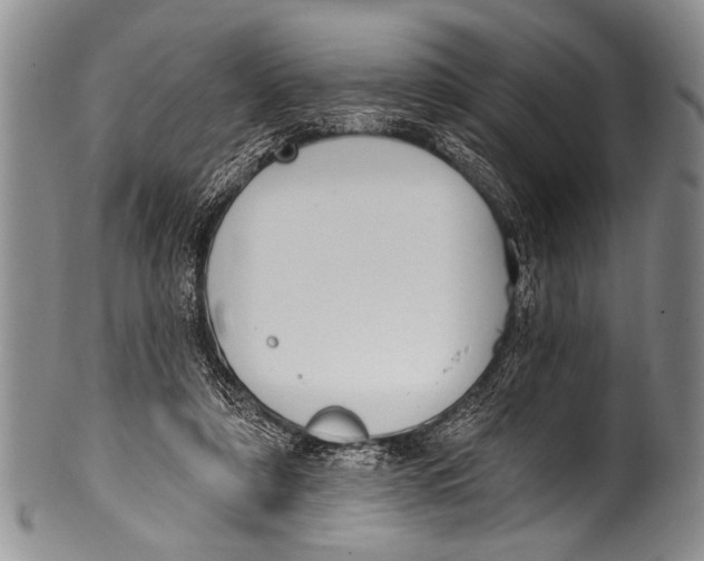 X0000100320306200806261233