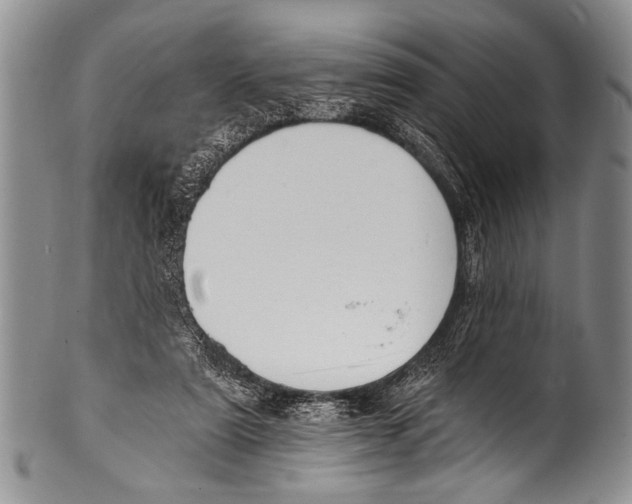 X0000100320307200806261233