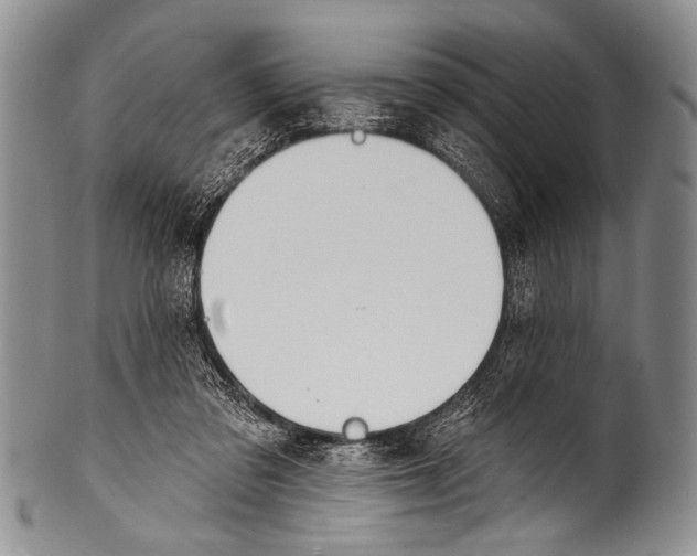 X0000100320309200806261233