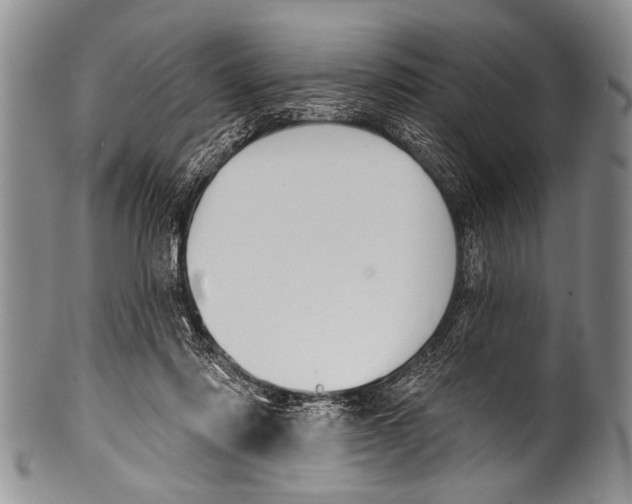 X0000100320310200806261233