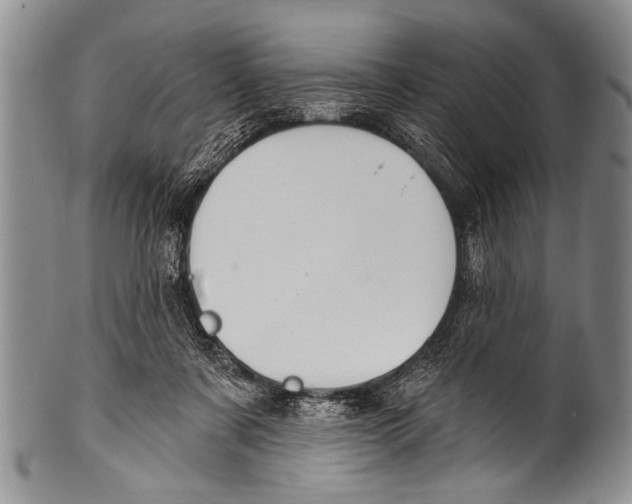 X0000100320311200806261232