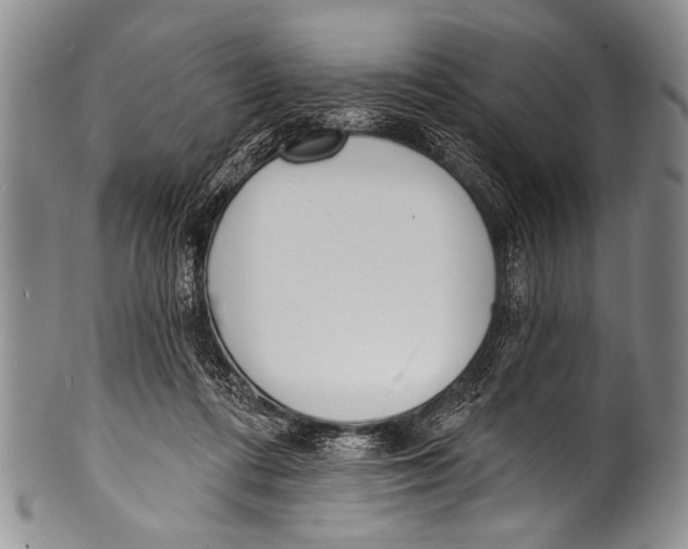 X0000100320312200806261232