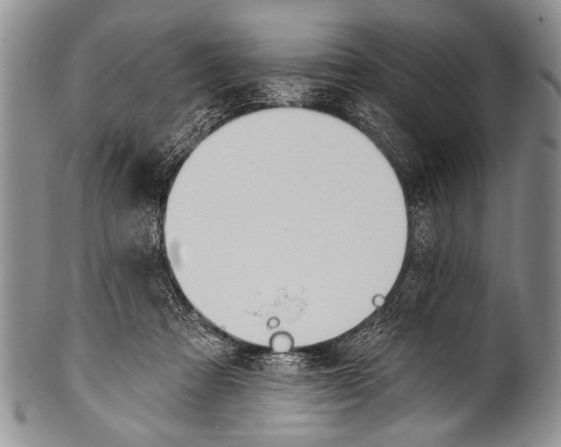 X0000100320313200806261232