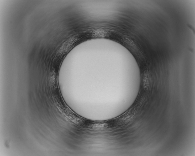 X0000100320314200806261232