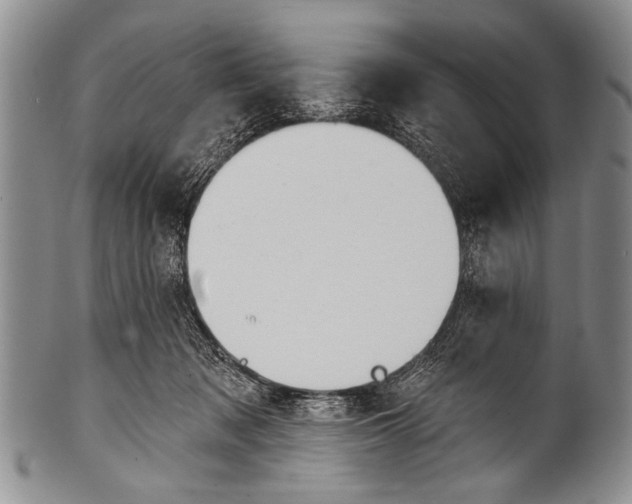 X0000100320317200806261232