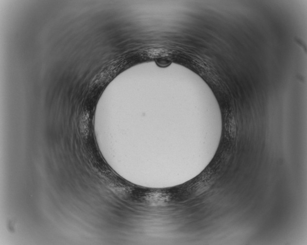 X0000100320319200806261232