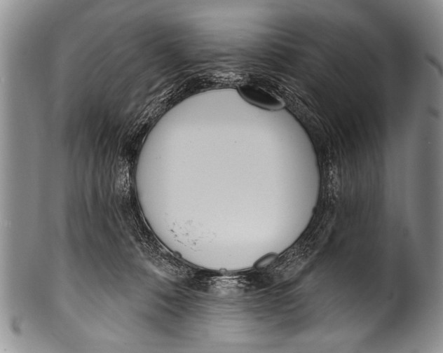 X0000100320320200806261232