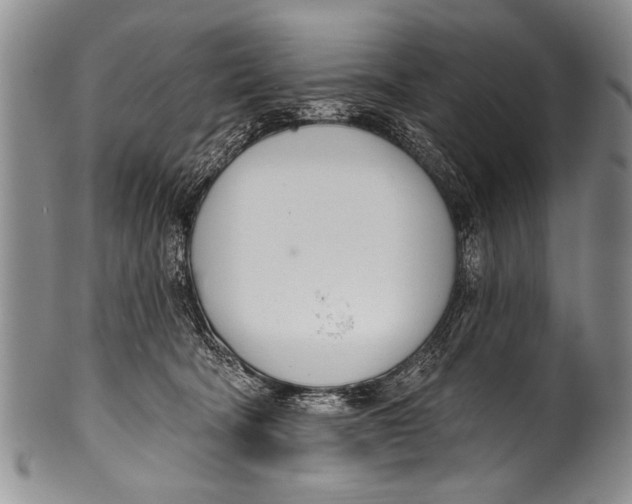 X0000100320322200806261232