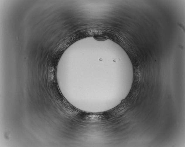 X0000100320323200806261232