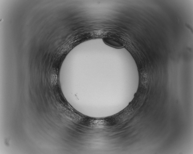 X0000100320324200806261232