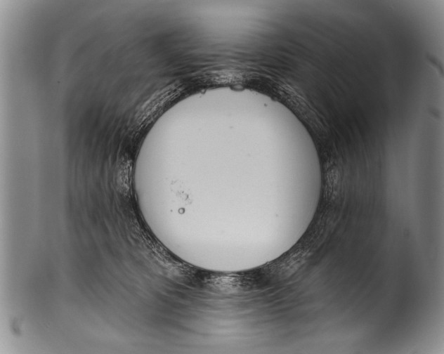 X0000100320325200806261232