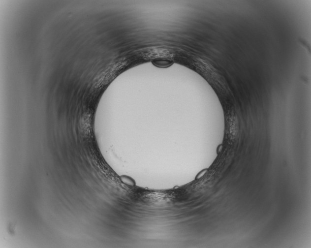 X0000100320326200806261232