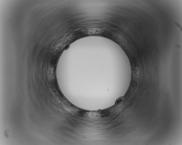 X0000100320327200806261232