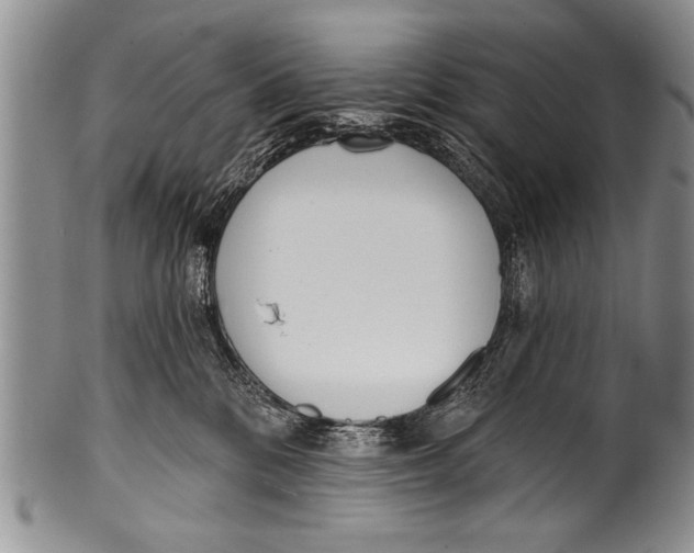 X0000100320328200806261232