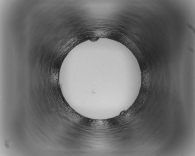 X0000100320329200806261232