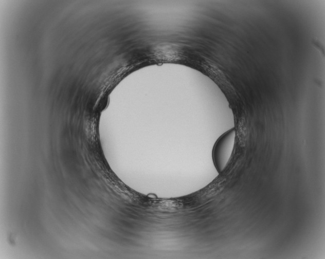 X0000100320330200806261232