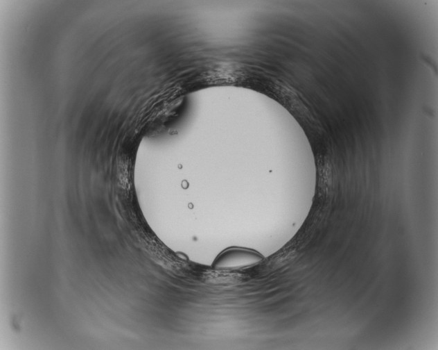 X0000100320331200806261232