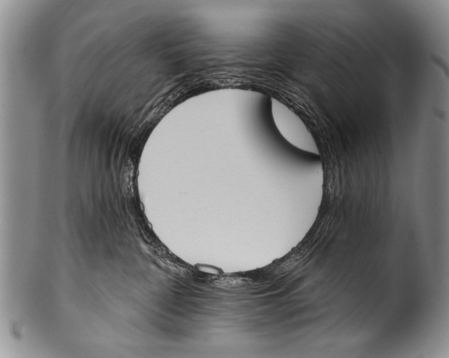 X0000100320332200806261232